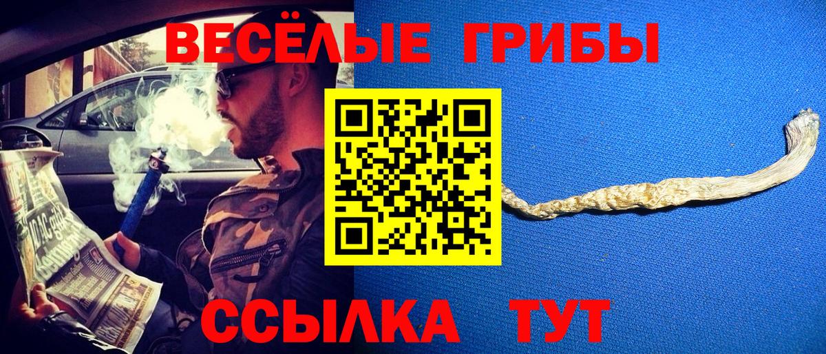 Псилоцибиновые грибы Cubensis  Вход с VPN  Воткинск 